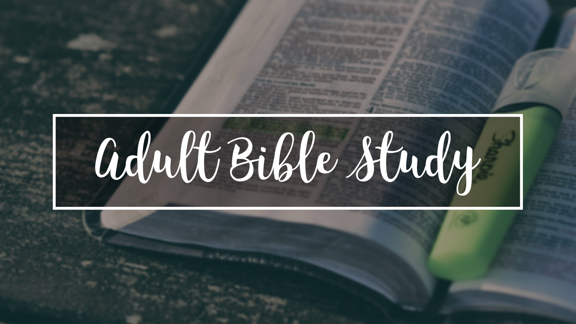 Adult Bible 35