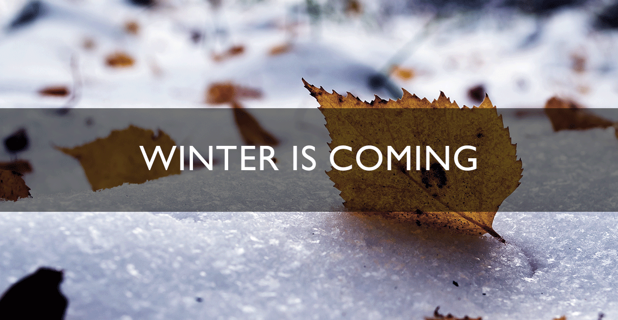 winter is coming banner