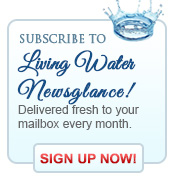 Newsletter SignUp Banner